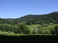 IMG 8613