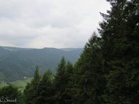 IMG 1086