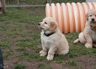 IMG 2123