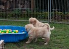 IMG 2145