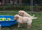 IMG 2147
