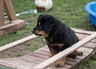 IMG 2170