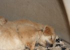 IMG 2181