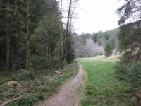 IMG 8349
