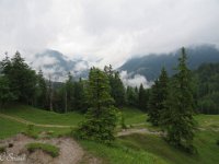 IMG 0398