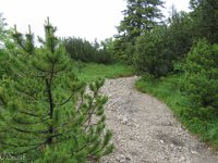 IMG 0408