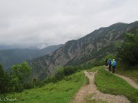 IMG 0413