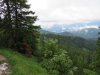 IMG 0427