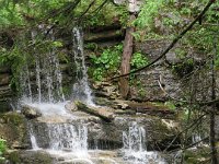 IMG 0443