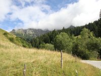 IMG 9629