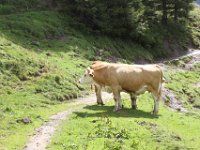 IMG 9672