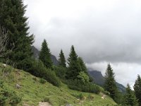 IMG 9682