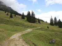 IMG 9718