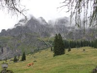 IMG 9719