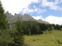 IMG 9723
