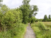 IMG 0186